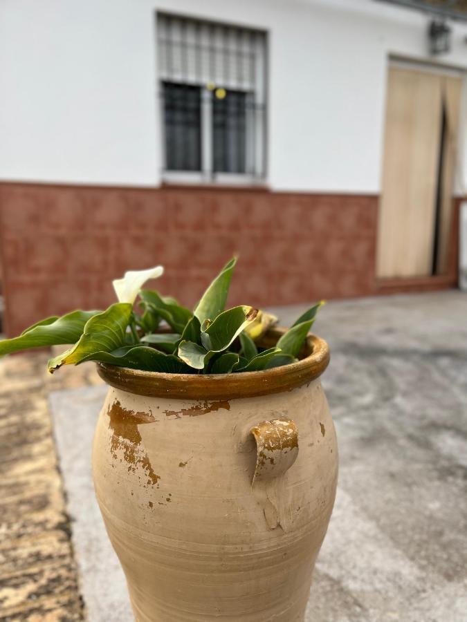 Agua De Verano San Bartolomé de la Torre Exterior foto